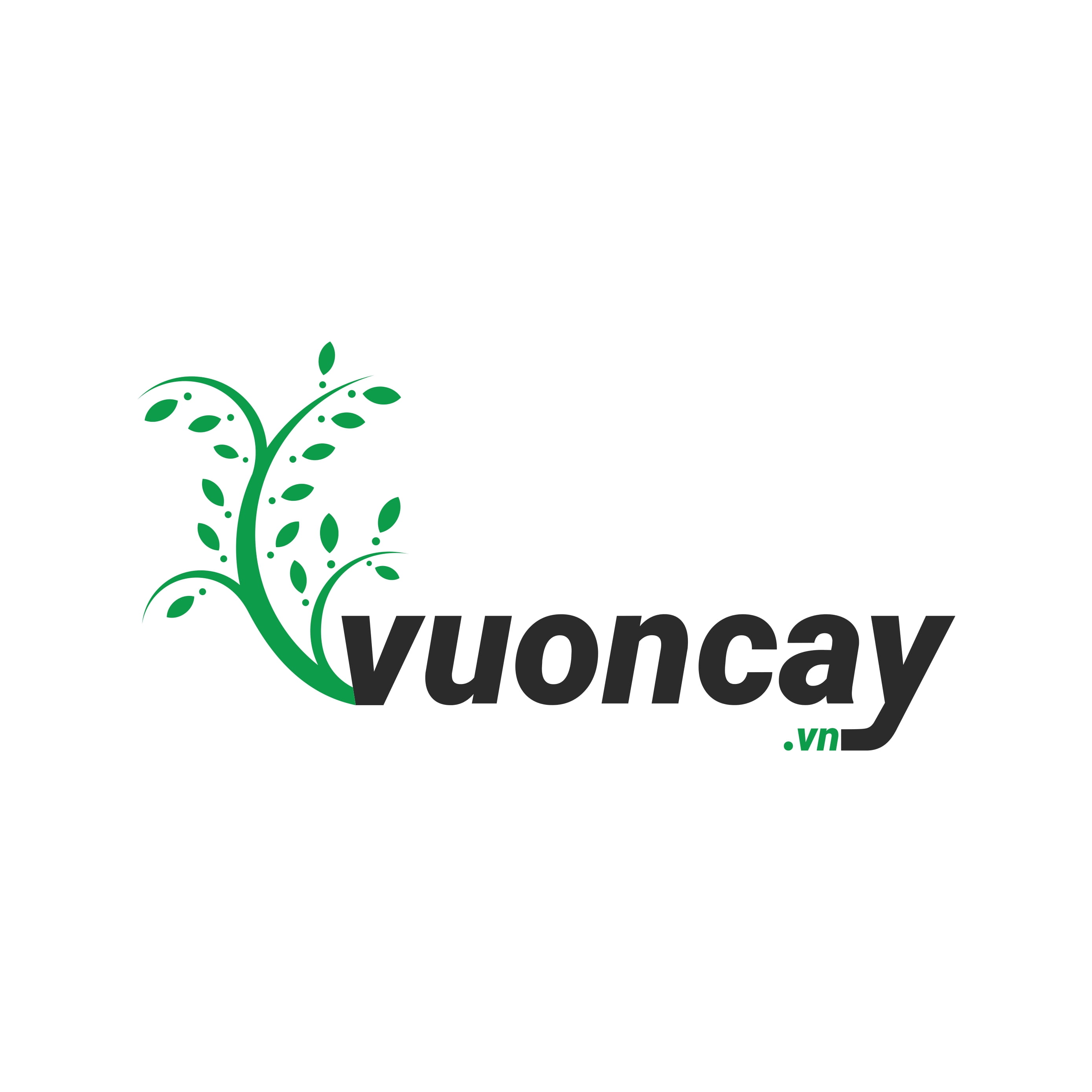 Vuoncayvn